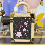 Louis Vuitton X TM Camera Box M14173 Brown